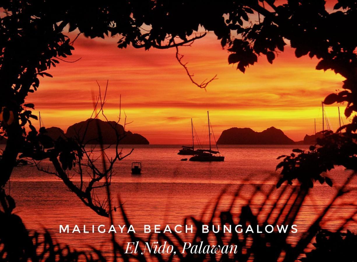 Maligaya Beach Bungalows El Nido Exterior foto