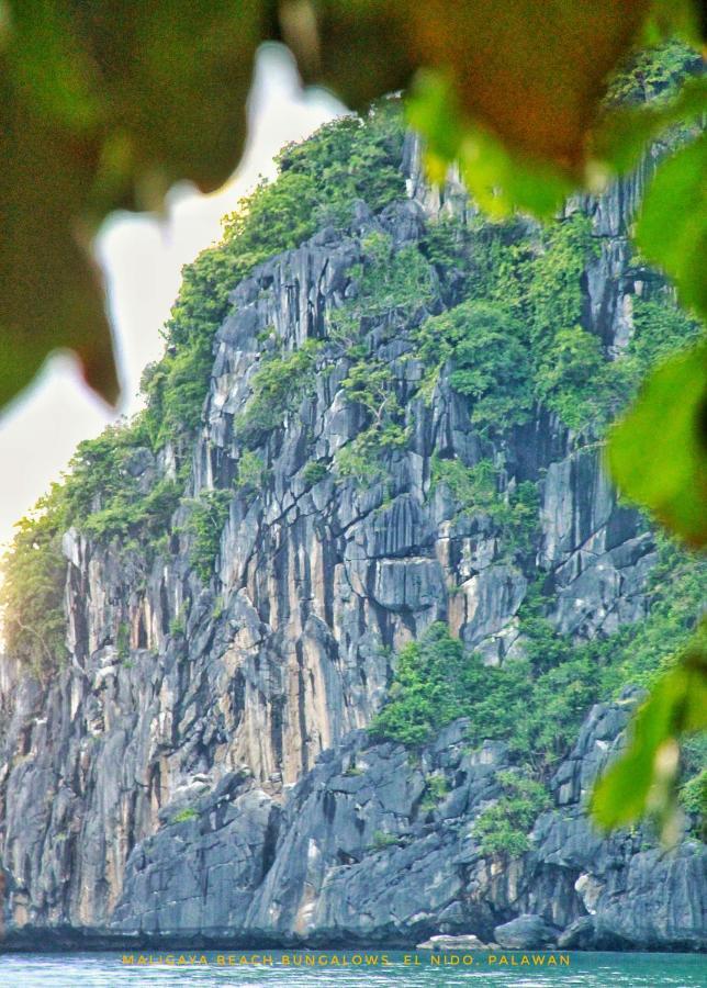 Maligaya Beach Bungalows El Nido Exterior foto